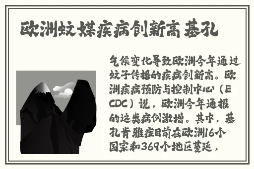 暴躁老姐的csgo最新版本